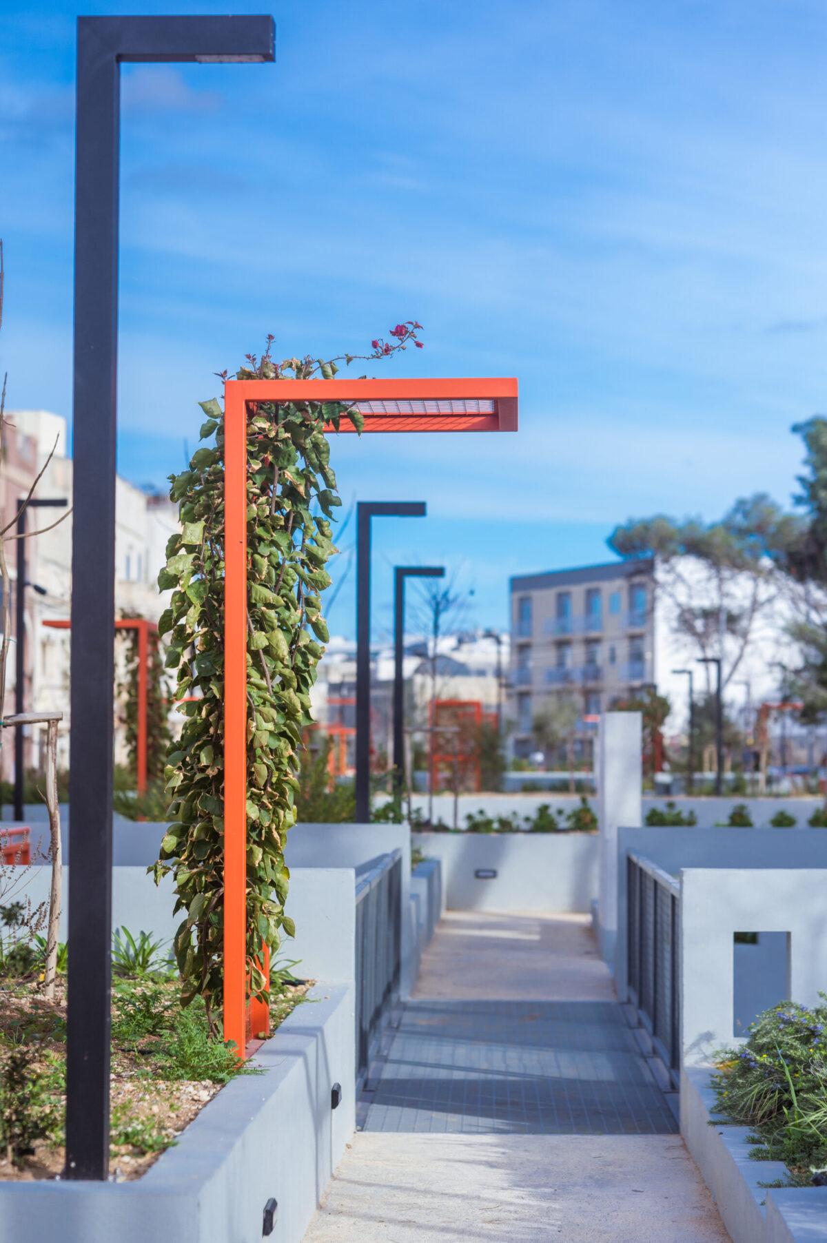 DTR Project Image