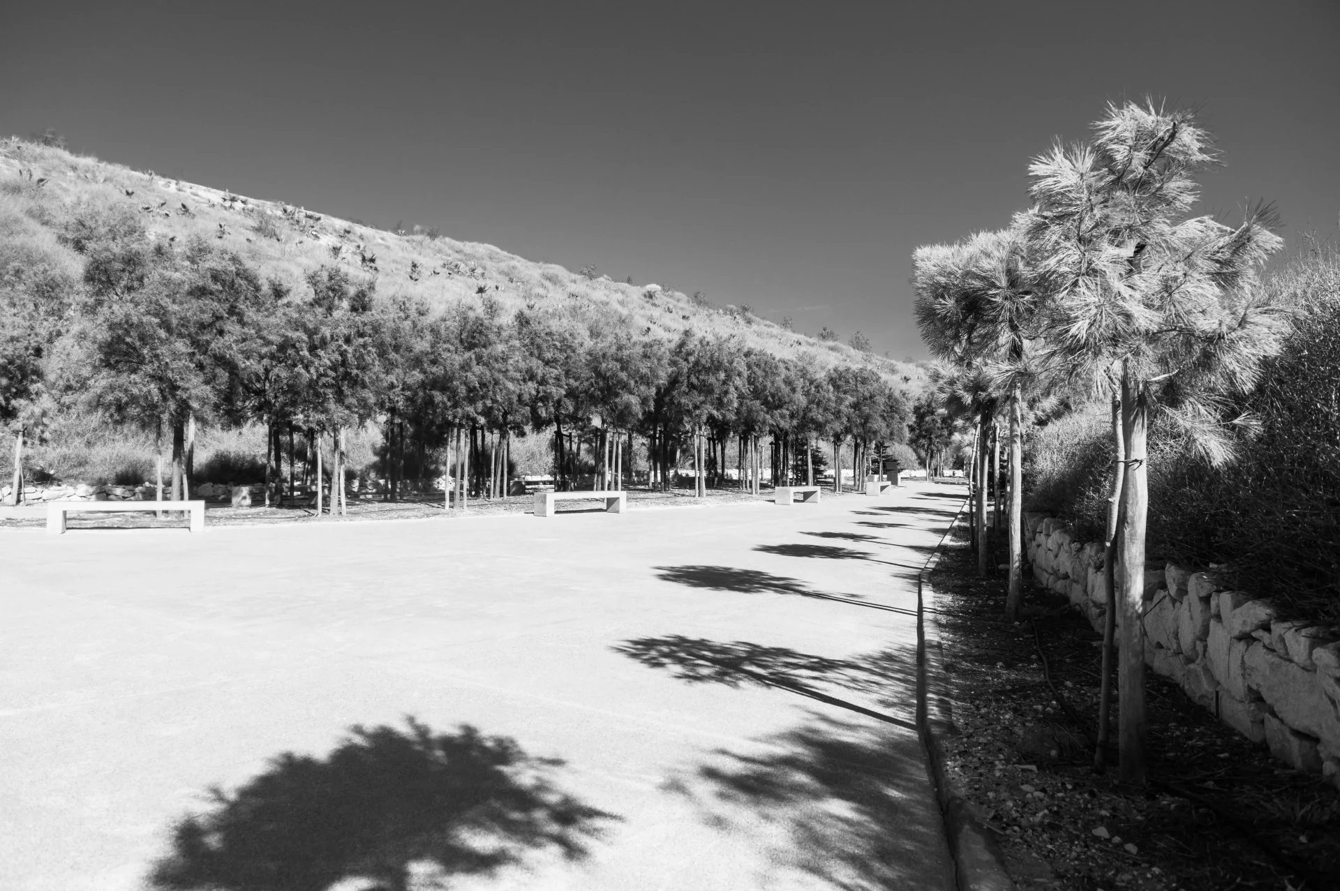 DTR Project Image